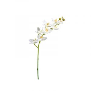 Orquídea Branca 75cm 9317-10
