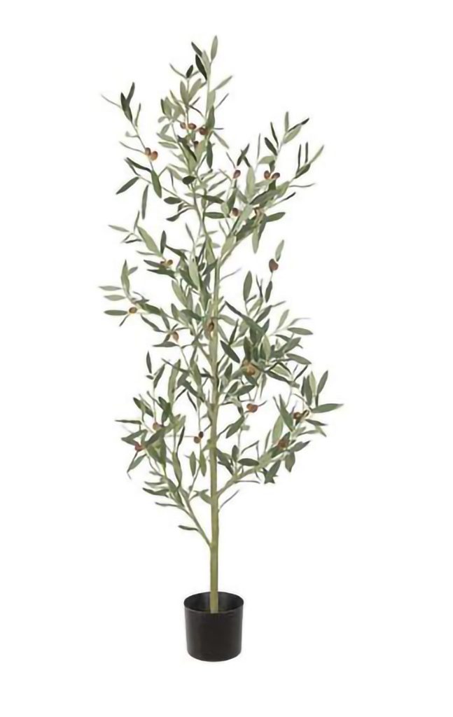 Oliveira