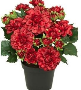 Vaso Dália Vermelho