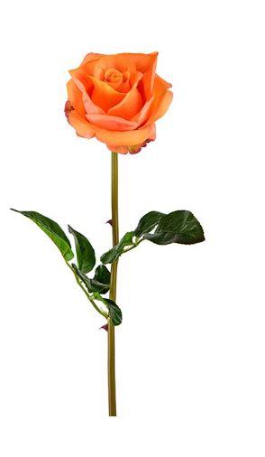 Rosa Real Touch Laranja