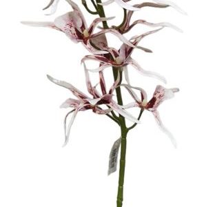 Haste Orquídea Rosa