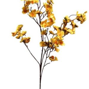 Haste Cerejeira Amarela