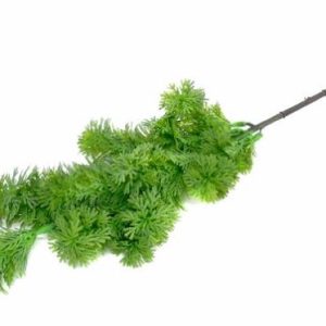 Folhagem Verde