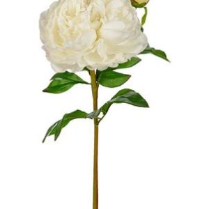 Peonia Real Touch Branca