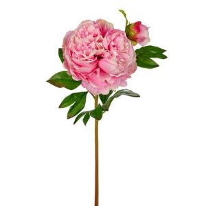 Peonia Real Touch Rosa