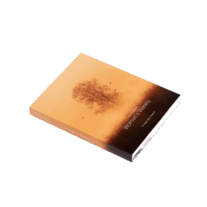 Livro Decorativo